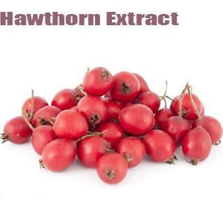Natural Hawthorn Berry Leaf Extract Hawthorn Fruit Extract Hawthorn Powder